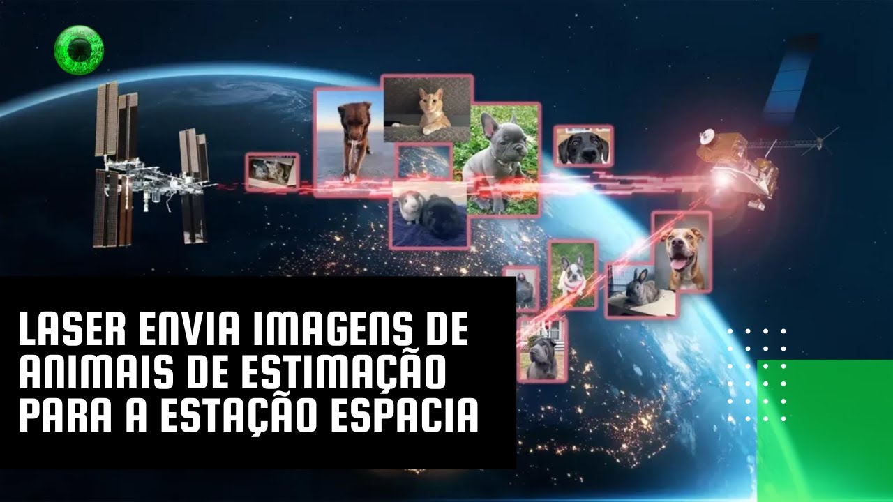 Laser envia imagens de animais de estimação para a Estação Espacial