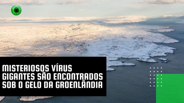 Misteriosos vírus gigantes são encontrados sob o gelo da Groenlândia