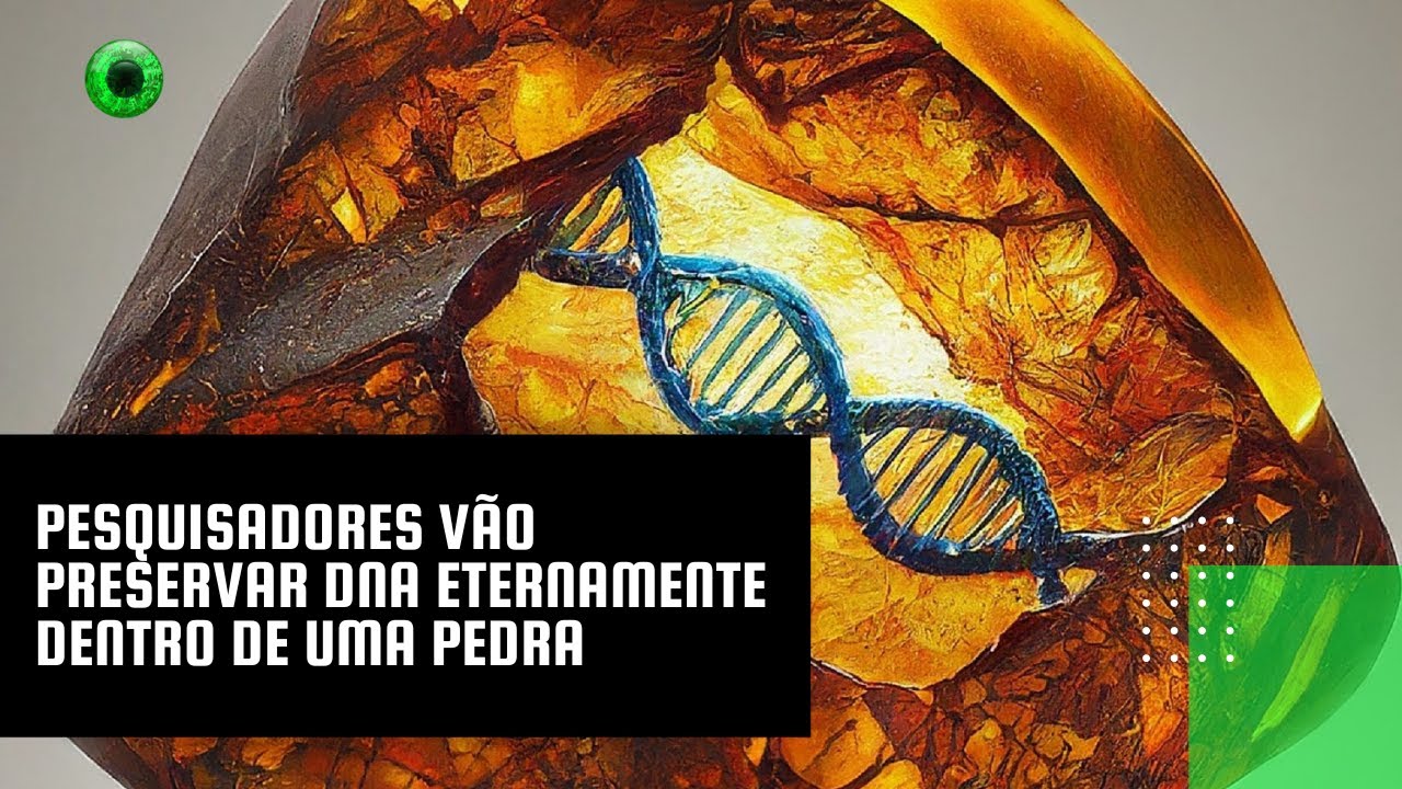 Pesquisadores vão preservar DNA eternamente dentro de uma pedra