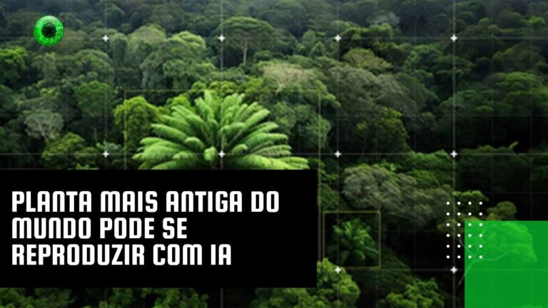 Planta mais antiga do mundo pode se reproduzir com IA