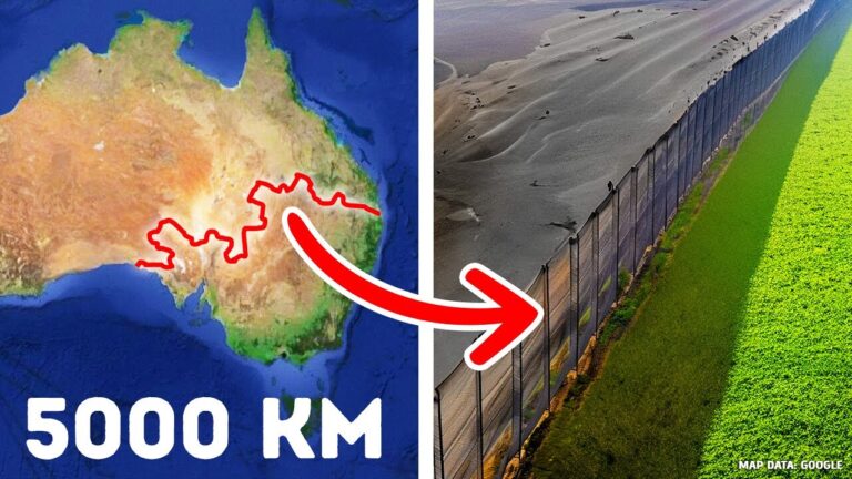 Por que a Austrália construiu uma cerca que atravessa o continente
