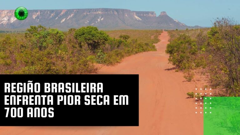 Região brasileira enfrenta pior seca em 700 anos