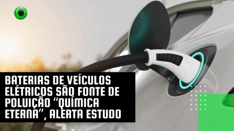 Baterias de veículos elétricos são fonte de poluição “química eterna”, alerta estudo