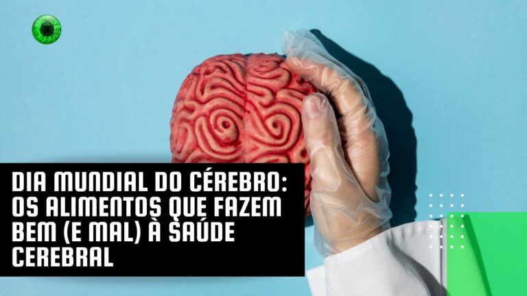 Dia Mundial do Cérebro: os alimentos que fazem bem (e mal) à saúde cerebral