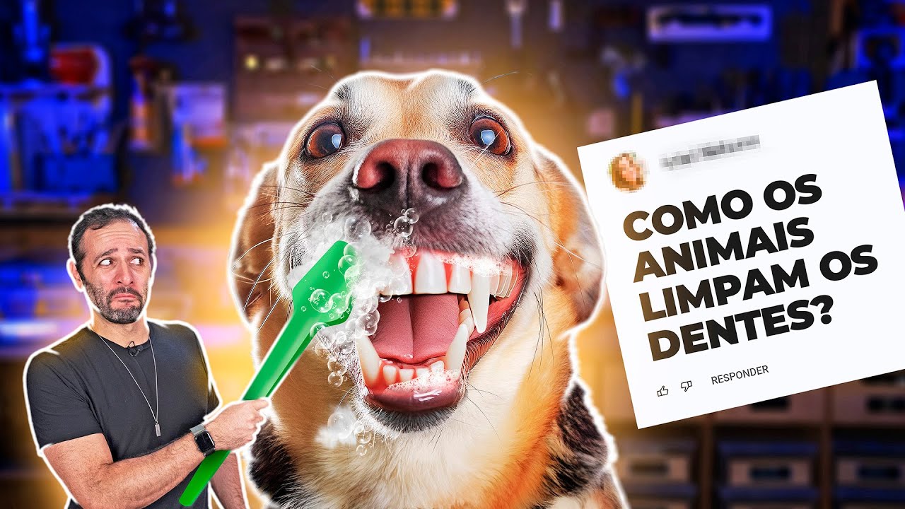 ANIMAIS precisam ESCOVAR os DENTES? Iberê responde!