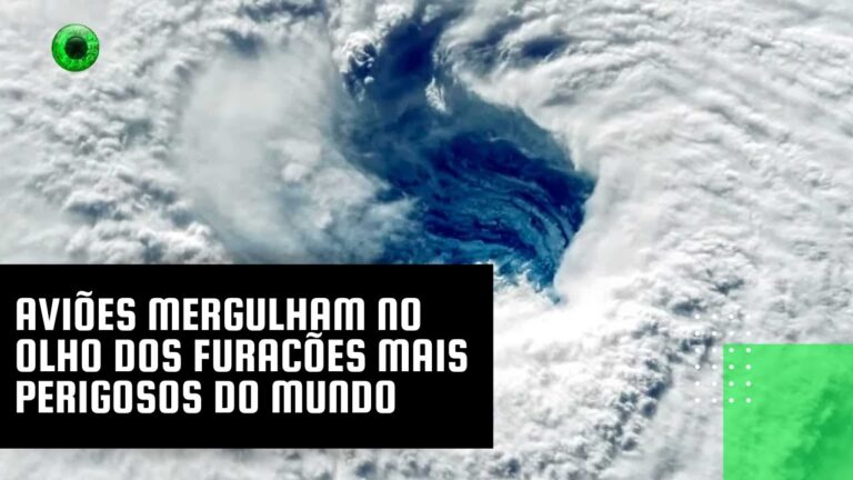 Aviões mergulham no olho dos furacões mais perigosos do mundo