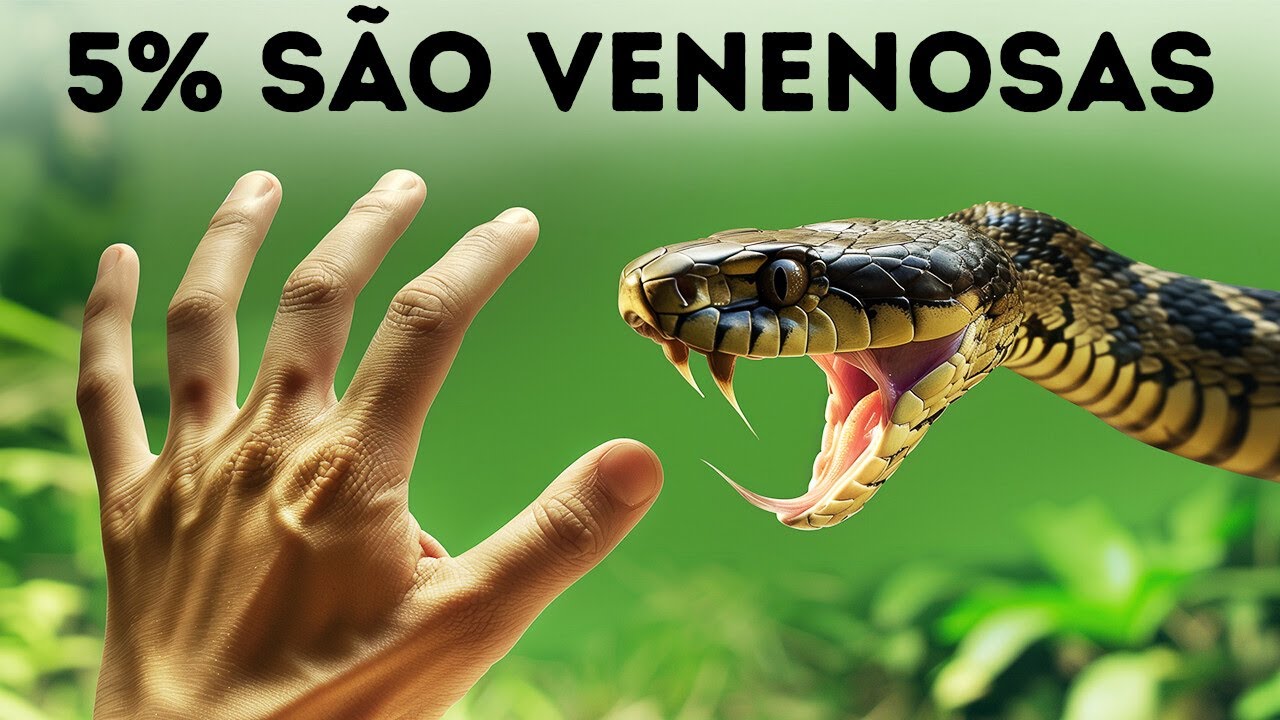 As cobras tiraram a sorte grande em termos evolutivos, e aqui está a razão