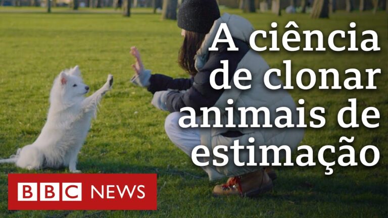 Como funciona a indústria de clonagem de pets