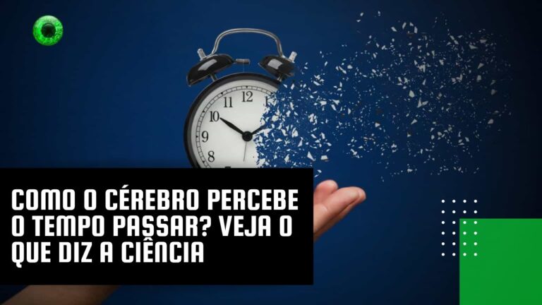 Como o cérebro percebe o tempo passar? Veja o que diz a Ciência