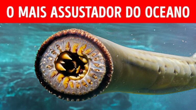 Criaturas Marinhas que Podem Arruinar Sua Viagem à Praia