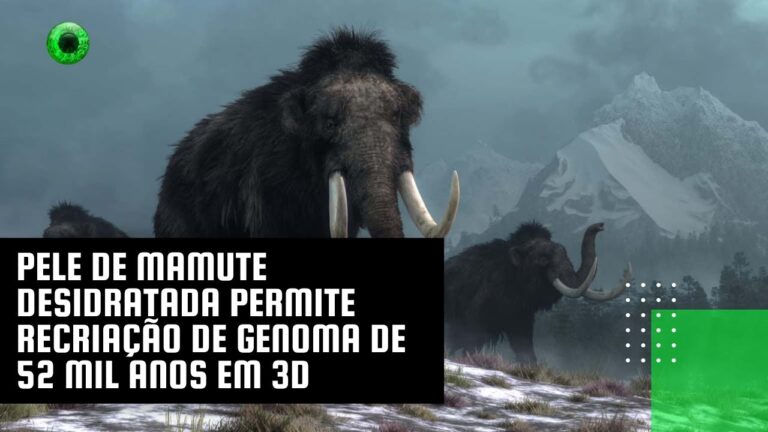 Pele de mamute desidratada permite recriação de genoma de 52 mil anos em 3D