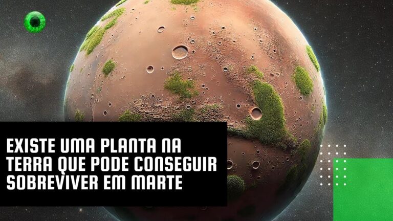 Existe uma planta na Terra que pode conseguir sobreviver em Marte