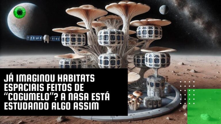 Já imaginou habitats espaciais feitos de “cogumelo” ? A NASA está estudando algo assim