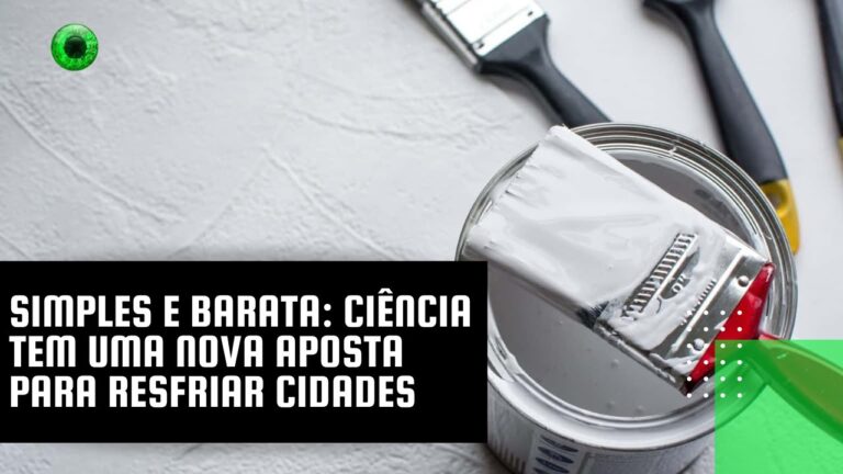 Simples e barata: Ciência tem uma nova aposta para resfriar cidades