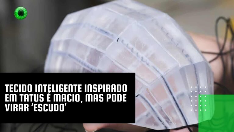 Tecido inteligente inspirado em tatus é macio, mas pode virar ‘escudo’