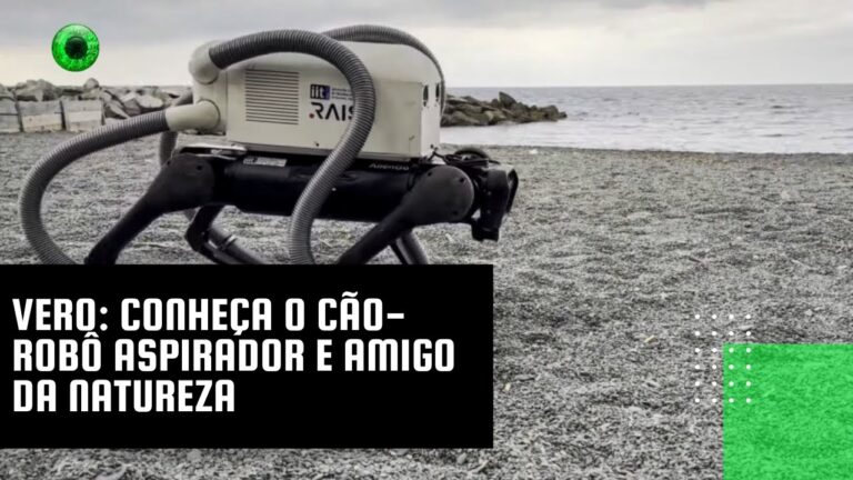 Vero: conheça o cão-robô aspirador e amigo da natureza