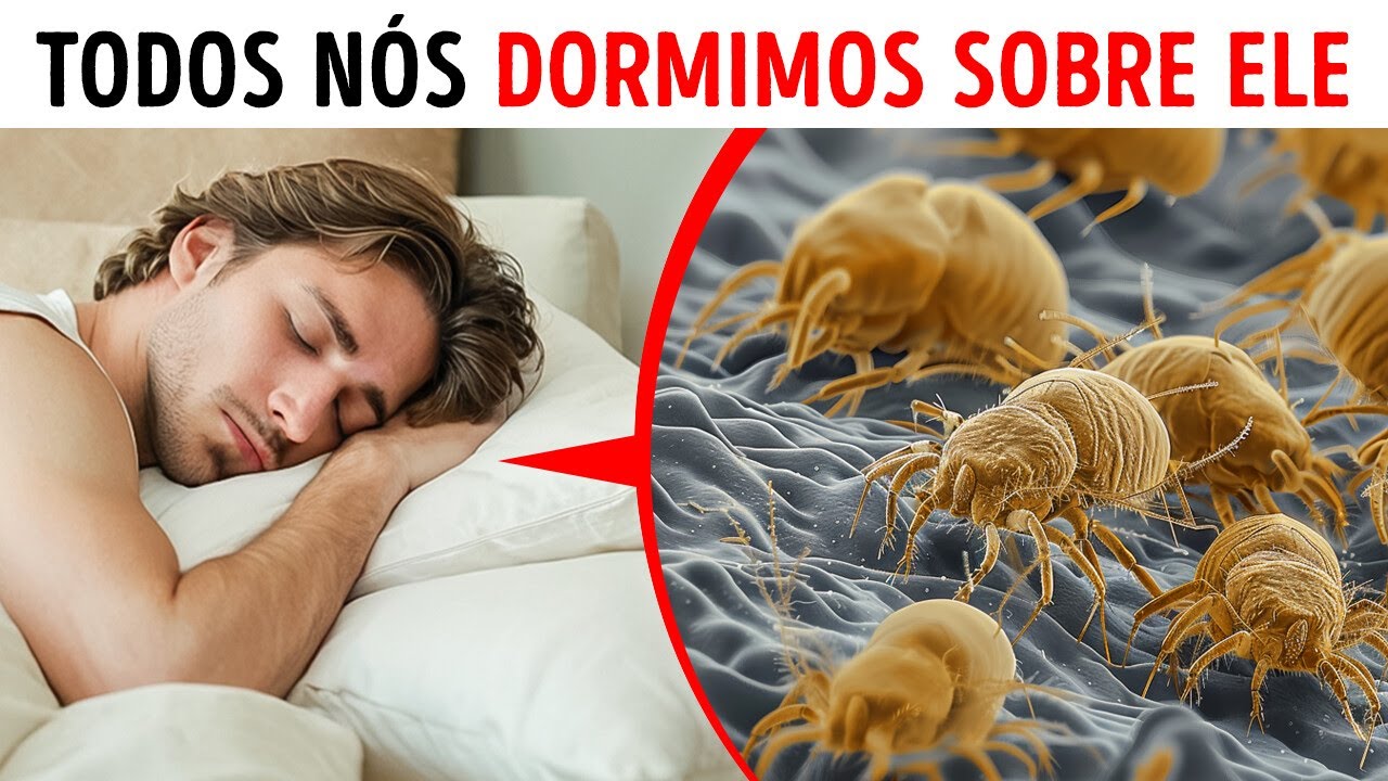 100 fatos aleatórios para ver o mundo de uma nova maneira