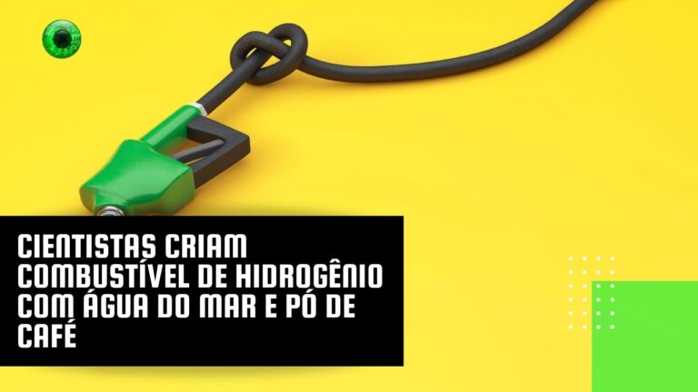 Cientistas criam combustível de hidrogênio com água do mar e pó de café