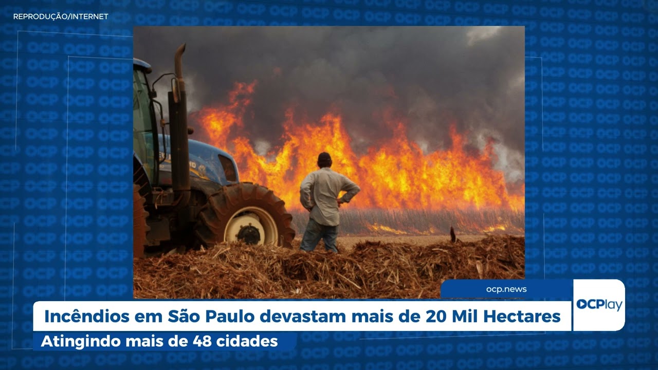 Incêndios em São Paulo devastam mais de 20 Mil Hectares