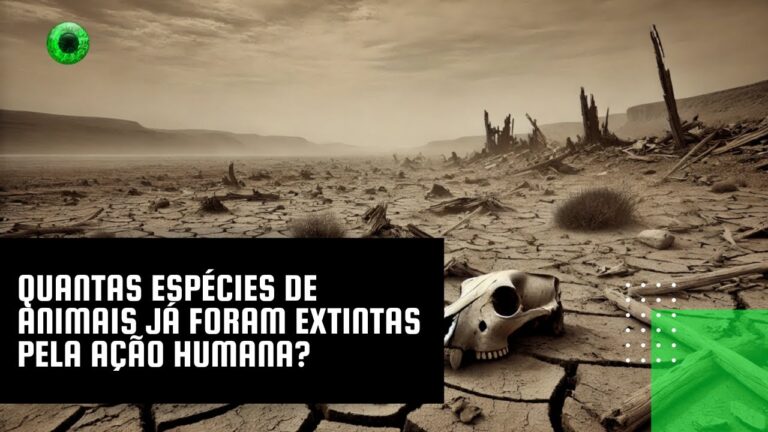 Quantas espécies de animais já foram extintas pela ação humana?