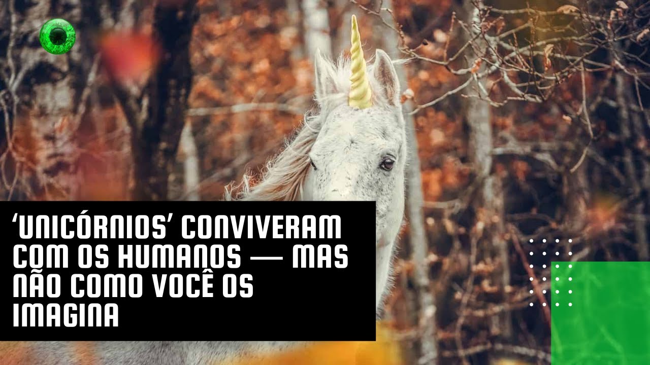 ‘Unicórnios’ conviveram com os humanos — mas não como você os imagina