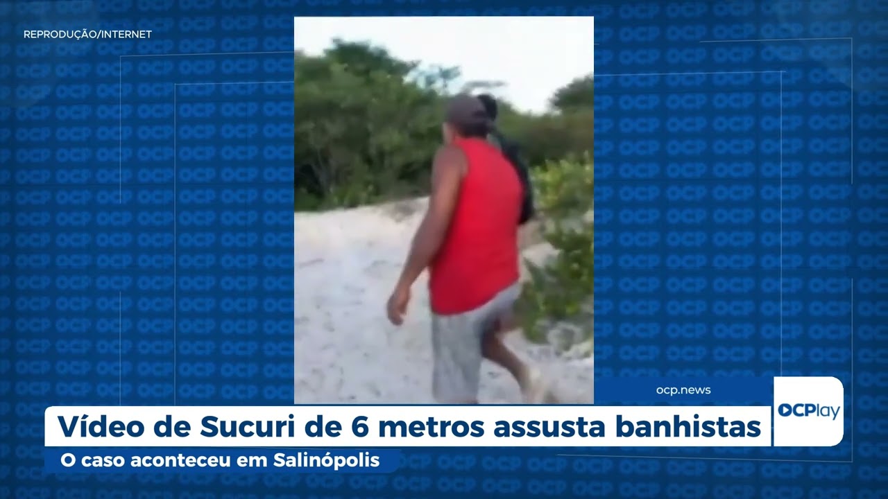Vídeo de Sucuri de 6 metros assusta banhistas