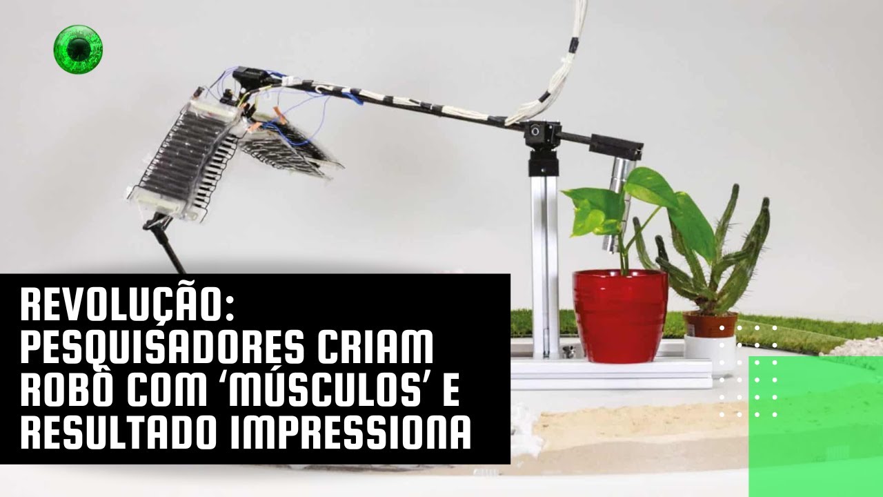 Revolução: pesquisadores criam robô com ‘músculos’ e resultado impressiona