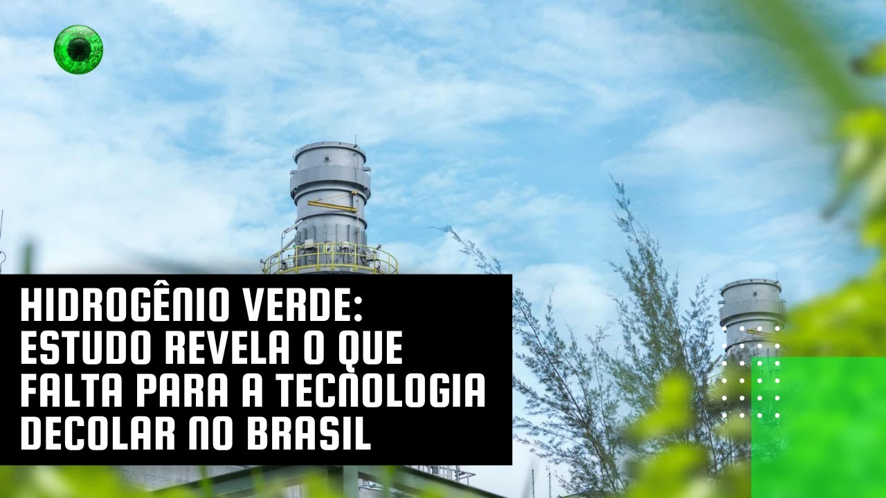 Hidrogênio verde: estudo revela o que falta para a tecnologia decolar no Brasil