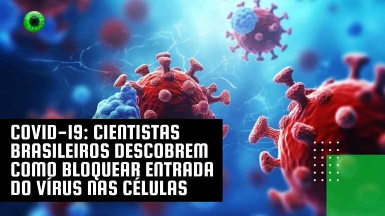 Covid-19: cientistas brasileiros descobrem como bloquear entrada do vírus nas células