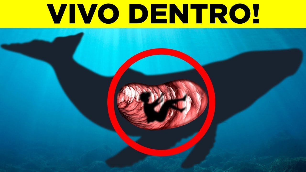 Locais Impossíveis Onde Pessoas Foram Encontradas – Parte 2