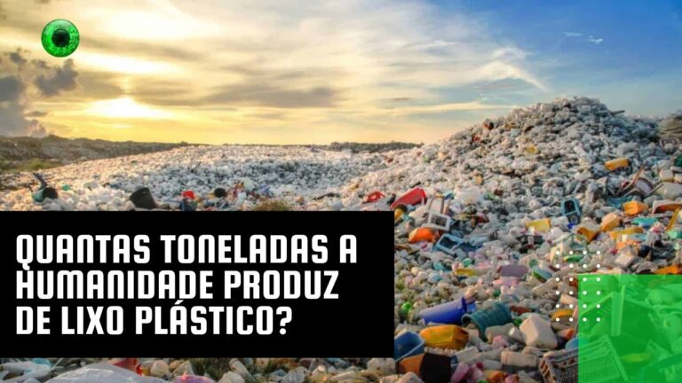 Quantas toneladas a humanidade produz de lixo plástico?