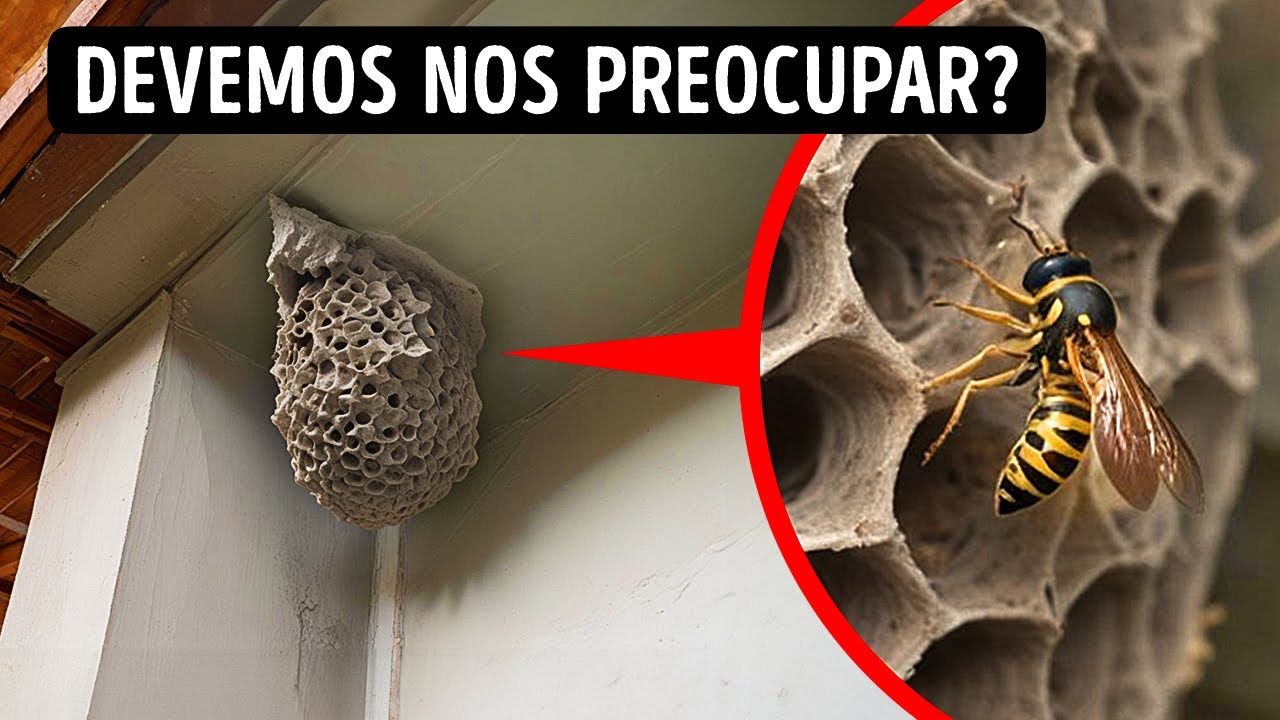 Coisas com as quais você não deve se meter - Apenas se afaste