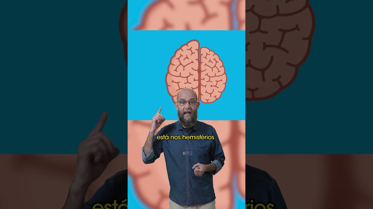Como funciona o cérebro dos canhotos?