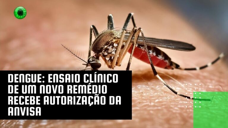 Dengue: ensaio clínico de um novo remédio recebe autorização da Anvisa