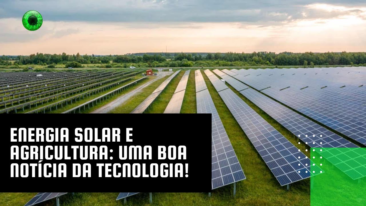 Energia solar e agricultura: uma boa notícia da tecnologia!