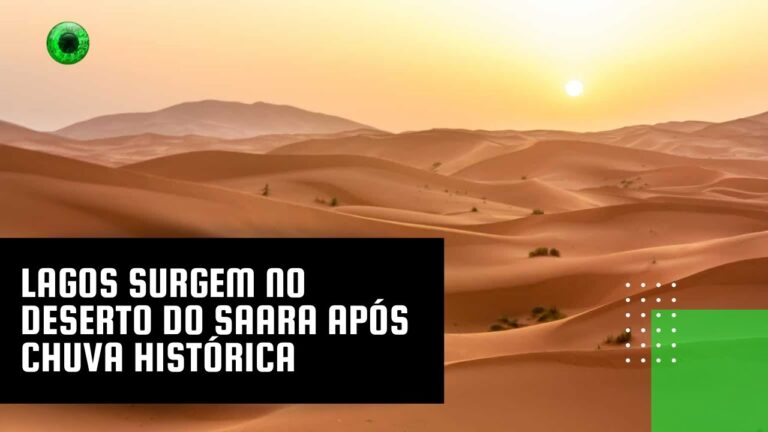 Lagos surgem no deserto do Saara após chuva histórica