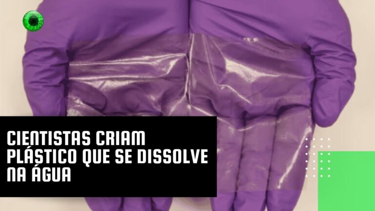 Cientistas criam plástico que se dissolve na água