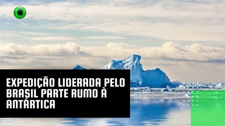 Expedição liderada pelo Brasil parte rumo à Antártica