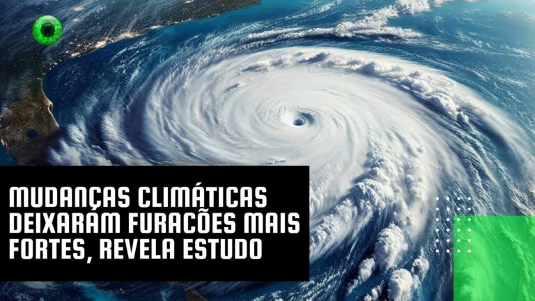 Mudanças climáticas deixaram furacões mais fortes, revela estudo