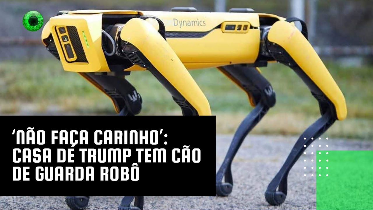 ‘Não faça carinho': casa de Trump tem cão de guarda robô