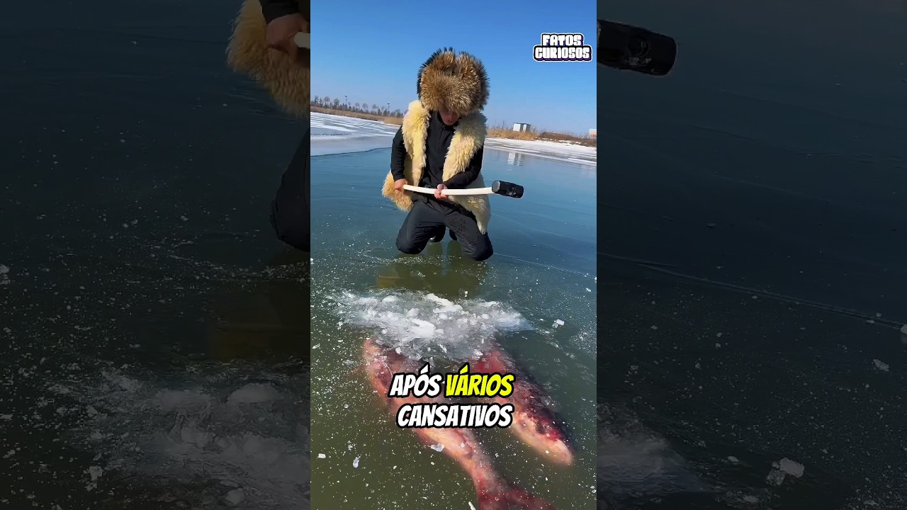 PESCADOR SORTUDO ENCONTRA PEIXES CONGELADOS NO LAGO