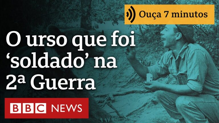 O urso que se tornou ‘soldado’ do Exército polonês na Segunda Guerra Mundial