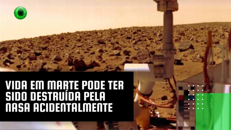 Vida em Marte pode ter sido destruída pela NASA acidentalmente