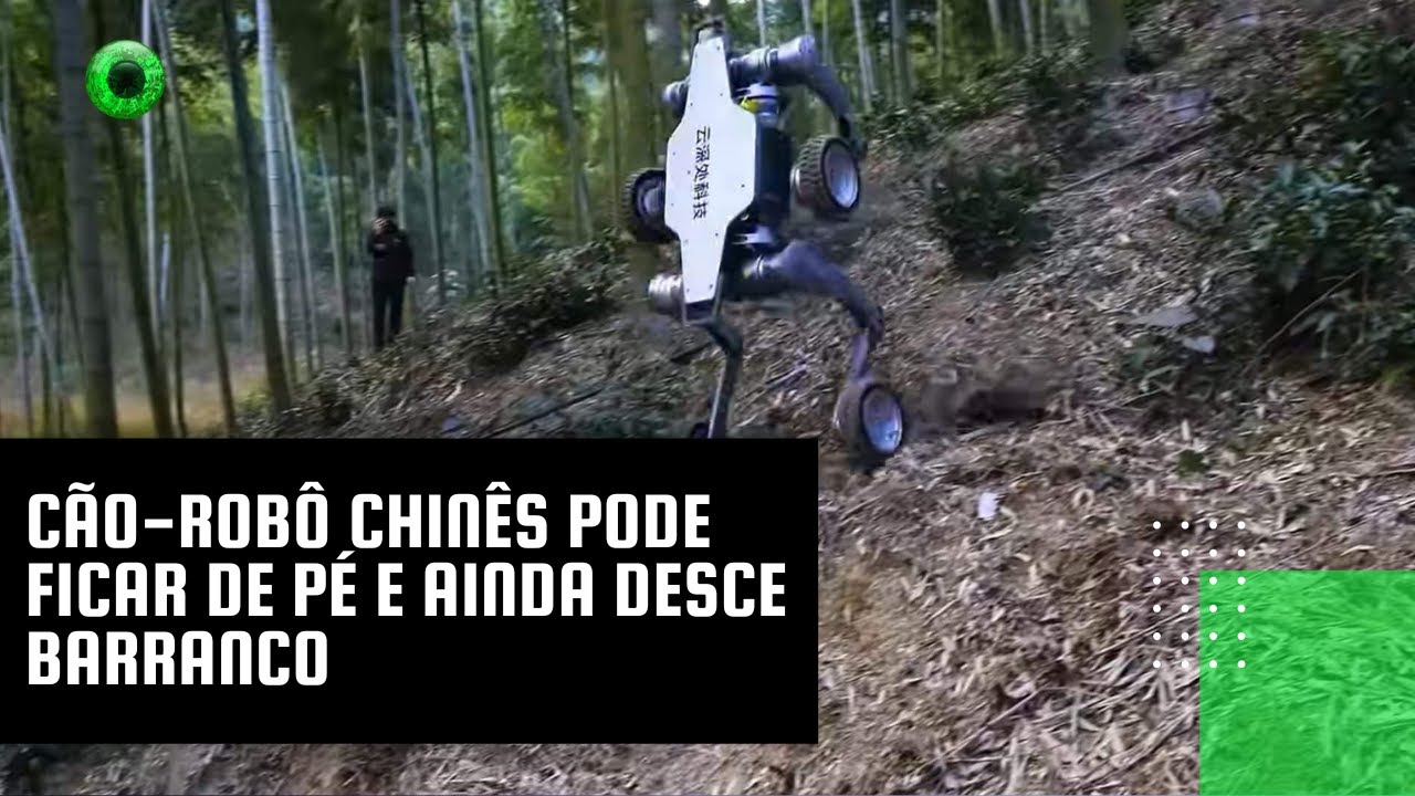 Cão-robô chinês pode ficar de pé e ainda desce barranco