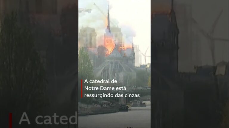 Notre Dame reformada: como ficou a catedral parisiense 5 anos após incêndio #bbcnewsbrasil