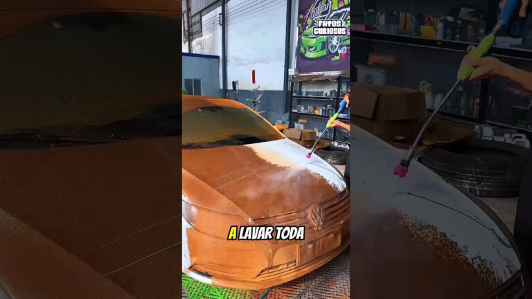 É ASSIM QUE ESSE GAROTO LIMPA UM CARRO ABANDONADO HÁ 8 ANOS