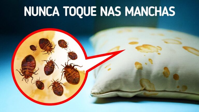 Fatos imperdíveis para se manter seguro em qualquer situação