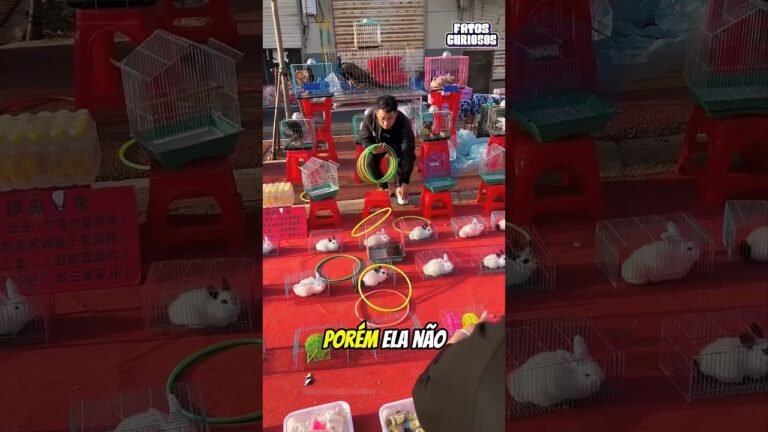 A NOBRE ATITUDE DESSE HOMEM MUDOU O DIA DESSA MULHER