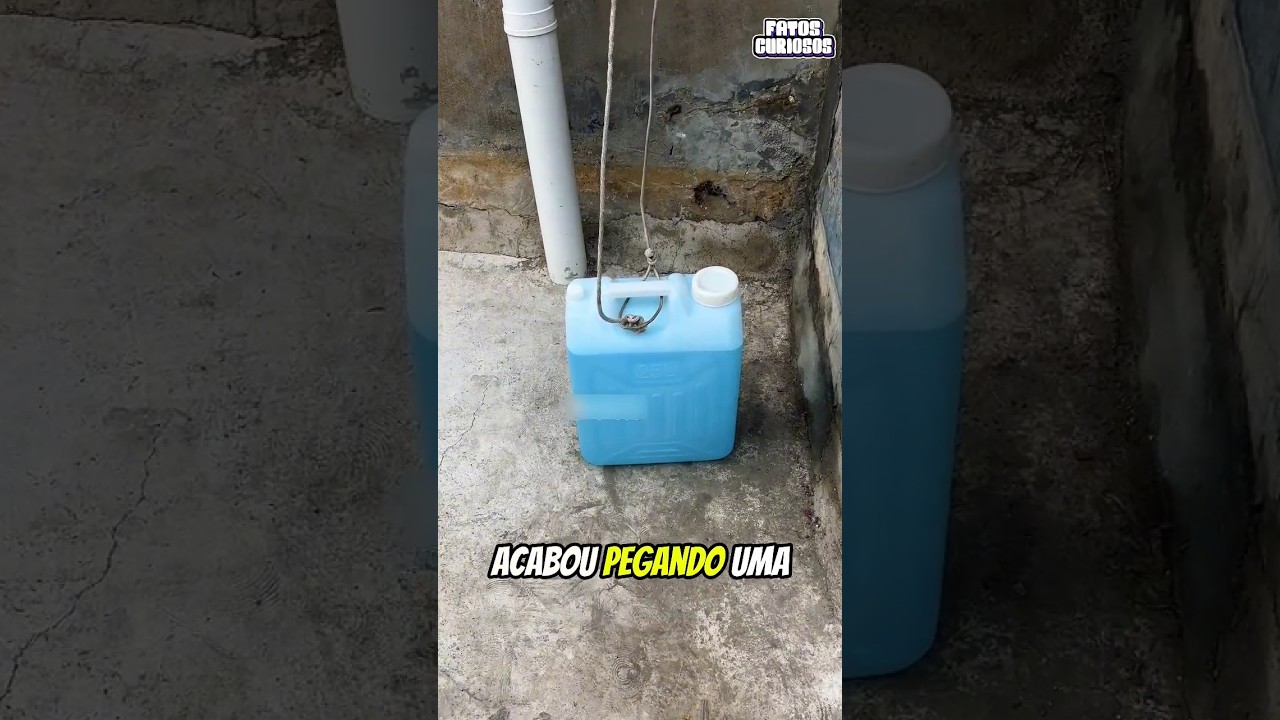 ESSE GAROTO TEM UM QI 1000 PONTOS