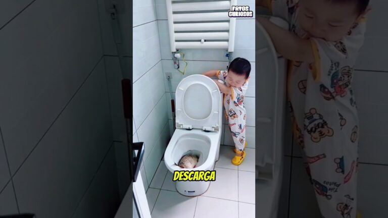 GAROTINHO INOCENTE TENTA SALVAR PEIXE QUE SUA MÃE HAVIA COMPRADO